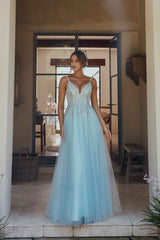 PO2316 Aster