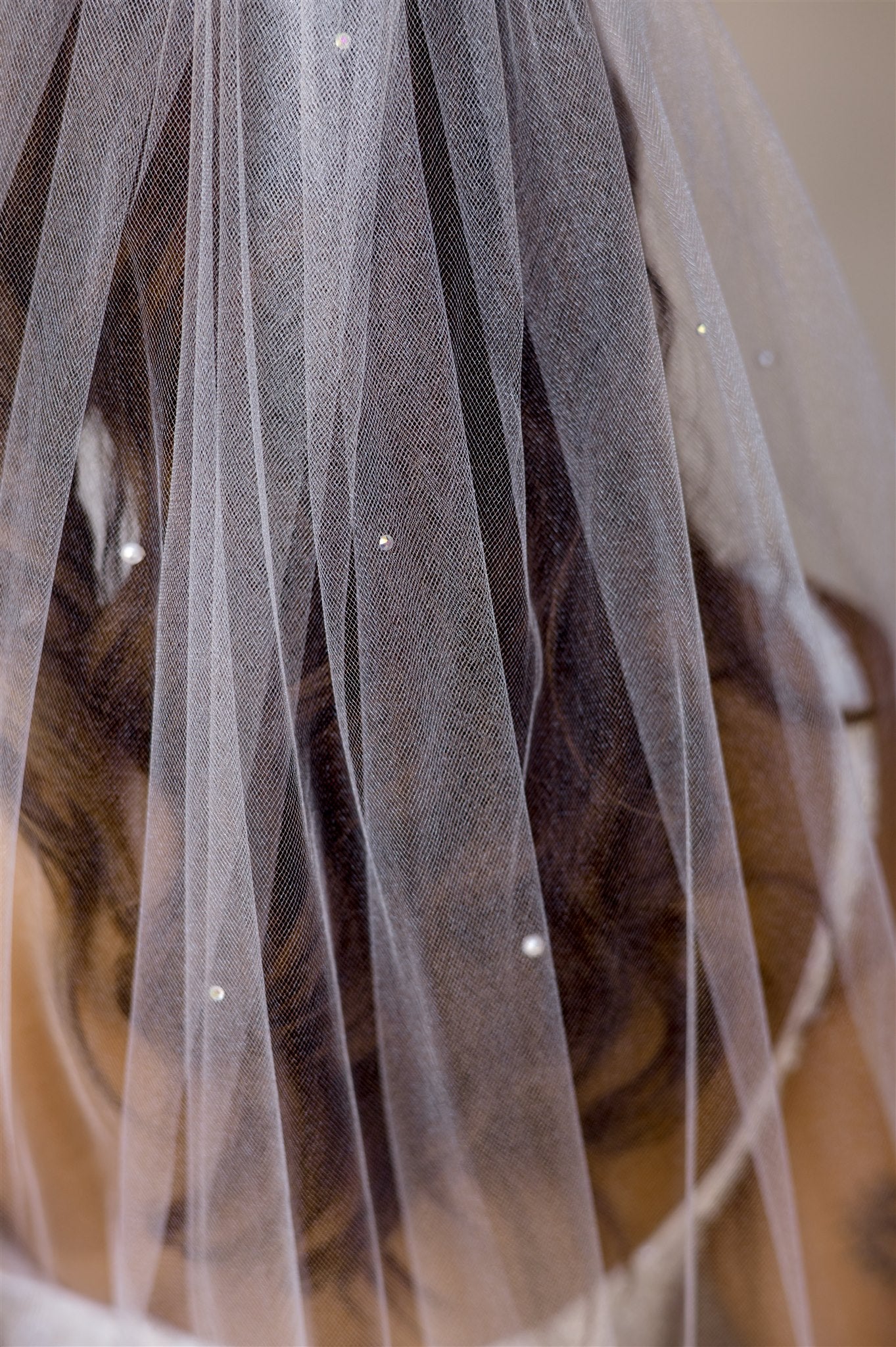 Alexis Cathedral veil with Pearls and Crystals