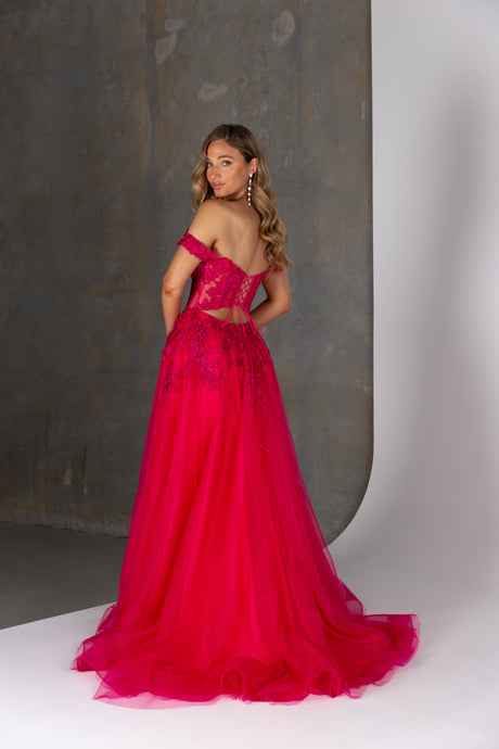 PO25166 Amarylis