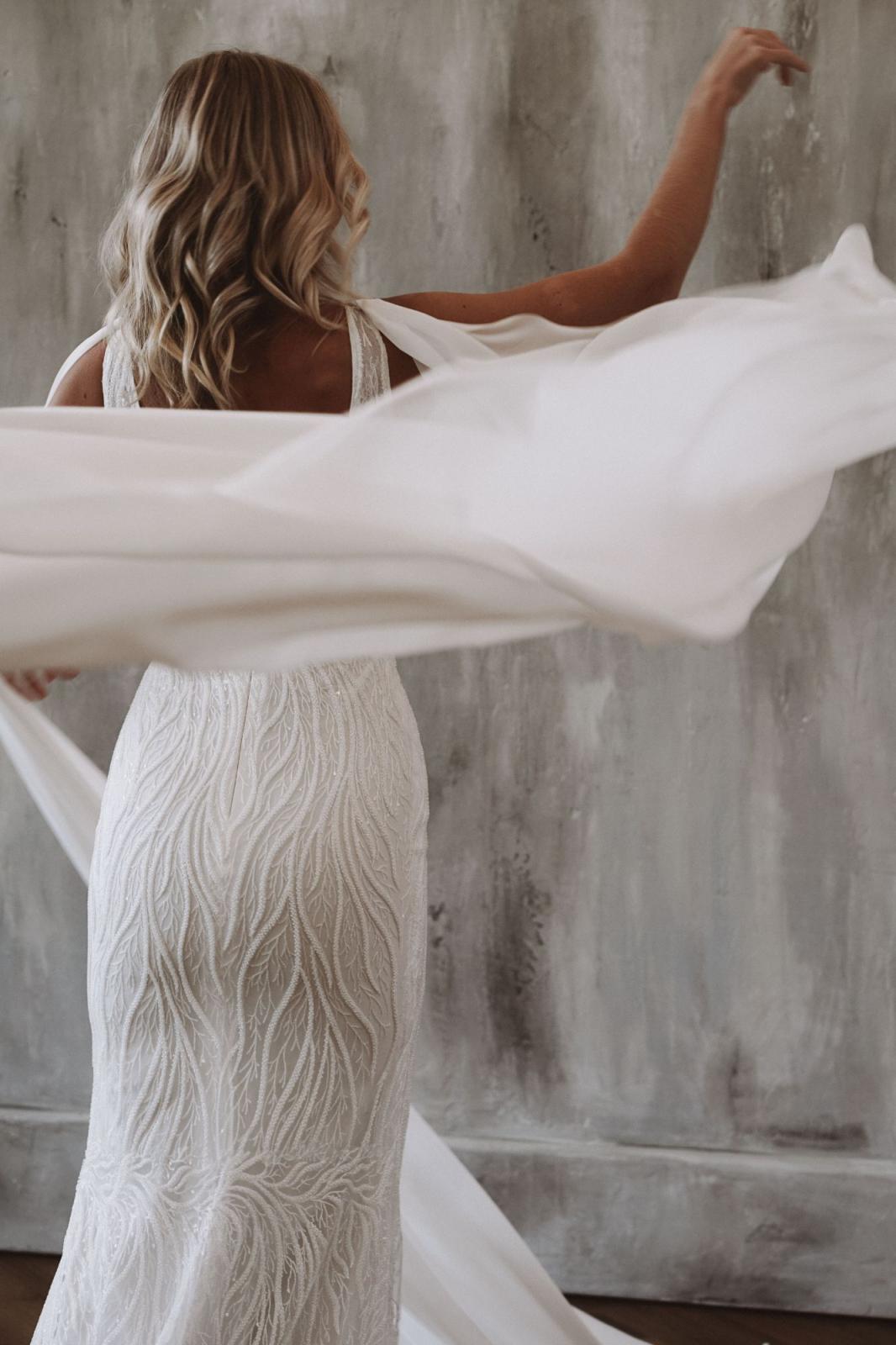 Chiffon Wings