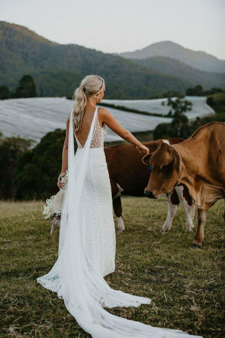 Detachable Tulle Wings – Confetti - Main Image