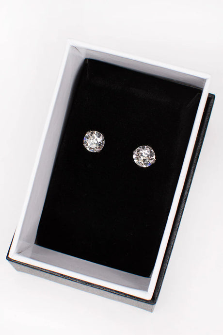 Layla Earrings Silver E40