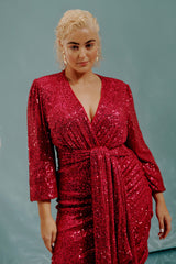Bacio Sequin Dress Raspberry